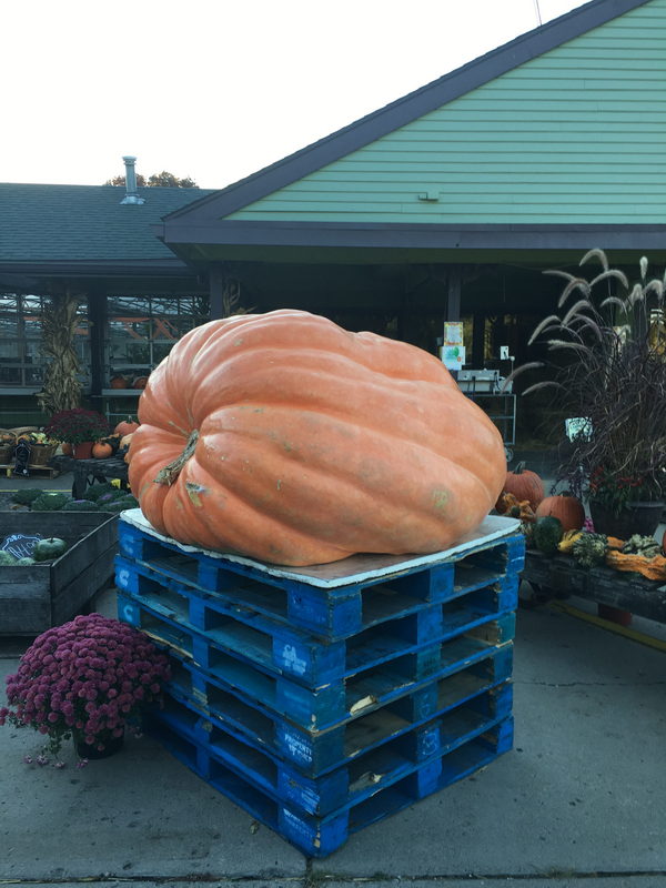 Highland - Colasantis Market (newer photo)